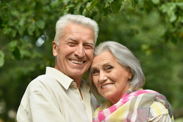 Portret van een liefdevol volwassen stel in het zomerpark