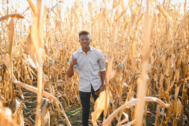 Portret van een mexicaanse gelukkige boer die maïs verbouwt