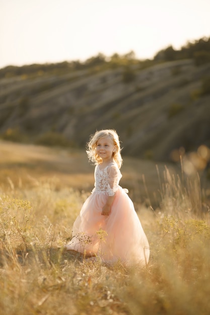 Portret van een mooi klein prinsesmeisje in een roze jurk.