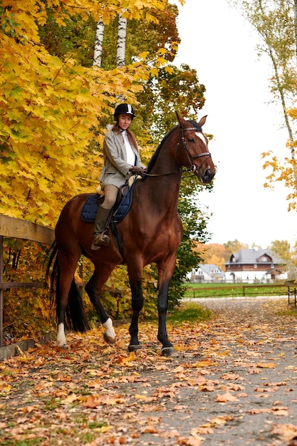 Portret van een mooie jonge vrouw met een bruine paardrijdende herfstdag