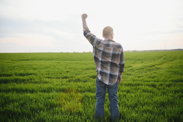 Portret van een oudere boer die zich in een groen tarweveld bevindt