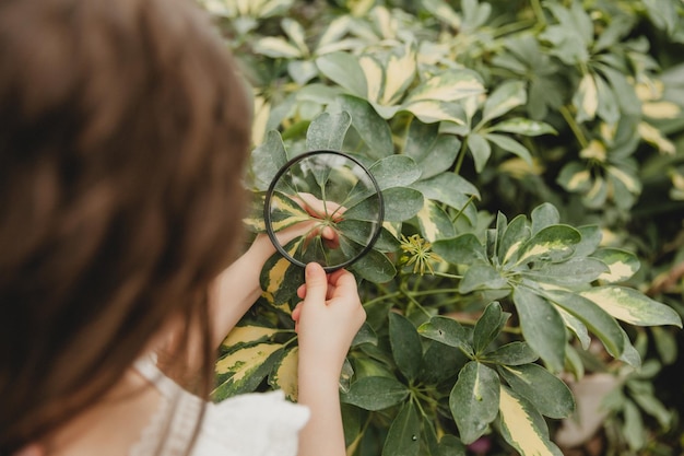 Portret van een schattig klein meisje dat door een vergrootglas naar planten kijkt Een kind met een vergrootglas bestudeert de natuur in de tuin Het concept van vroege ontwikkeling