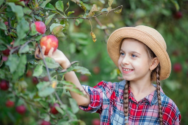 Portret van een schattig meisje in een boerderijtuin met een rode appel Herfstoogst van appels