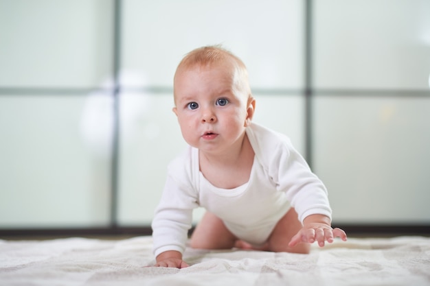 Portret van een schattige 6 maanden babyjongen kruipen op de grond