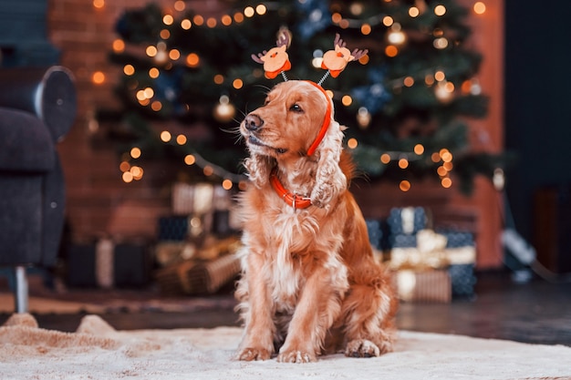 Portret van een schattige hond met nieuwjaarsspeelgoed op het hoofd binnenshuis in een feestelijke kerstkamer