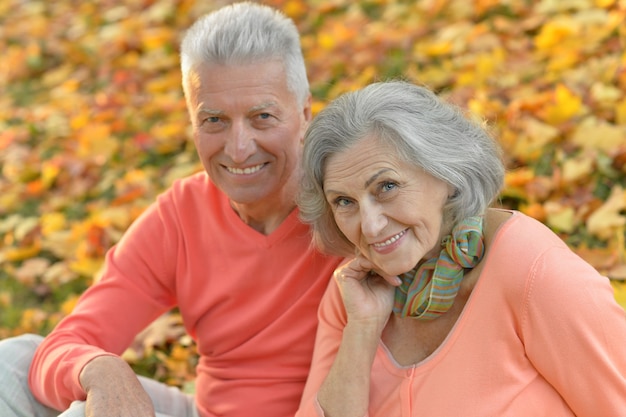 Portret van een senior koppel dat rust in het herfstpark