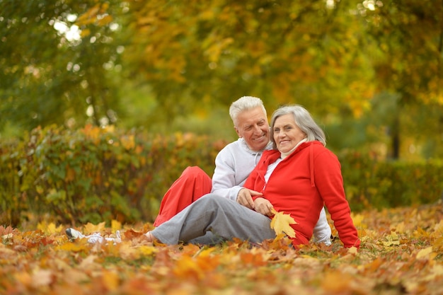 Portret van een senior koppel dat rust in het herfstpark