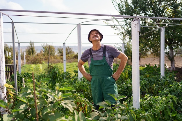 Portret van een volwassen man die groente plukt uit de achtertuin Trotse blanke boer die groenten oogst