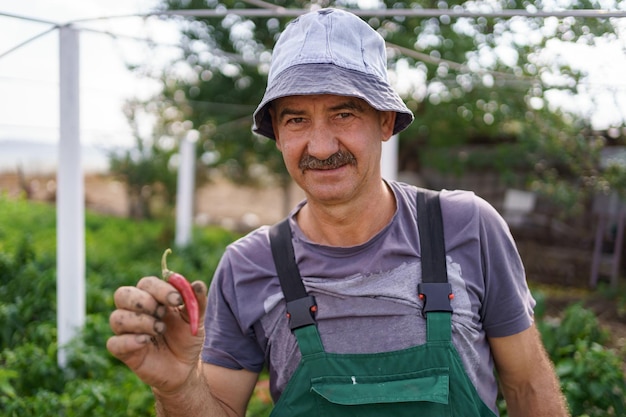 Foto portret van een volwassen man met rode chilipeper in zijn ruwe hand trotse blanke boer die groenten oogst