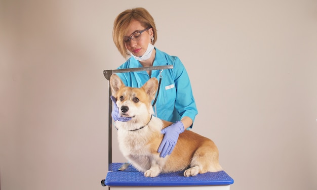 Portret van een vrouwelijke dierenarts die huisdieren verzorgt