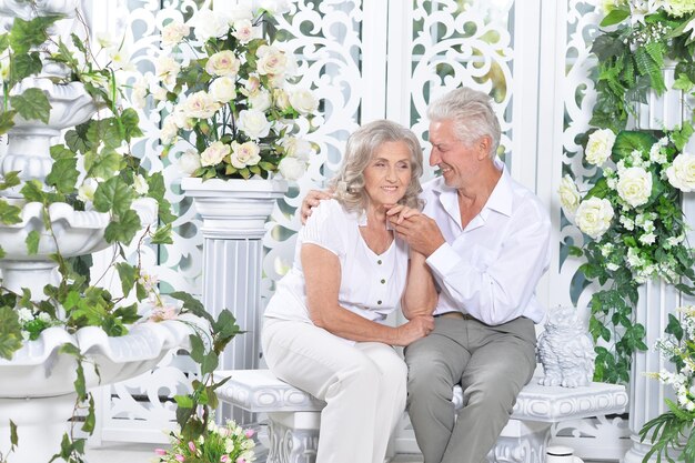 Portret van gelukkig senior paar poseren in lichte, gezellige kamer