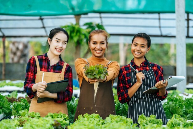 Portret van gelukkige jonge Aziatische meisjes boer controleren verse groene eik sla salade biologische hydroponische groente in de kwekerij bedrijf en biologische hydroponische groente concept