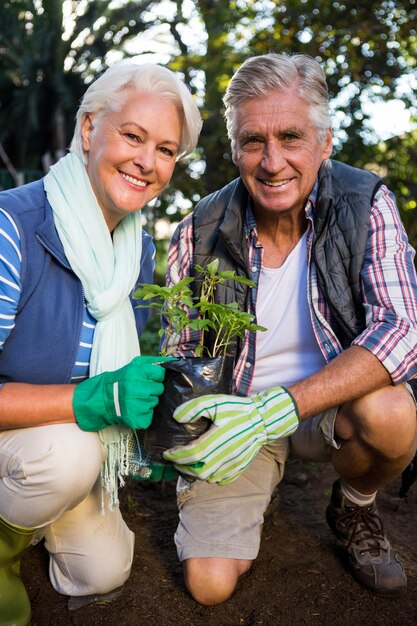 Portret van gelukkige tuinlieden die ingemaakte installatie houden bij tuin