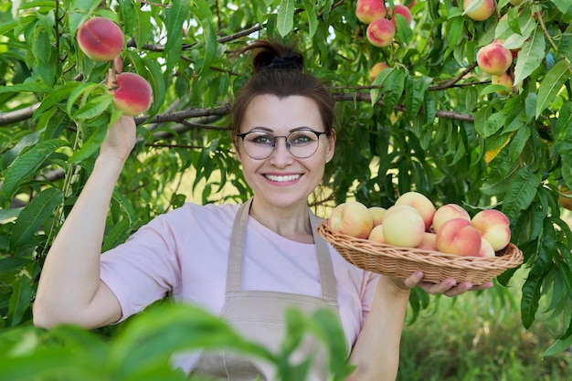 Portret van glimlachende vrouw met mand van verse perzikenboom met rijpe perzikenachtergrond