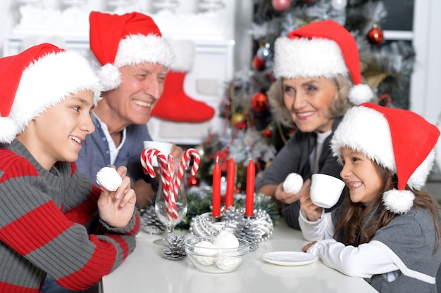 Portret van grootouders met kleinkinderen die samen kerstmis vieren