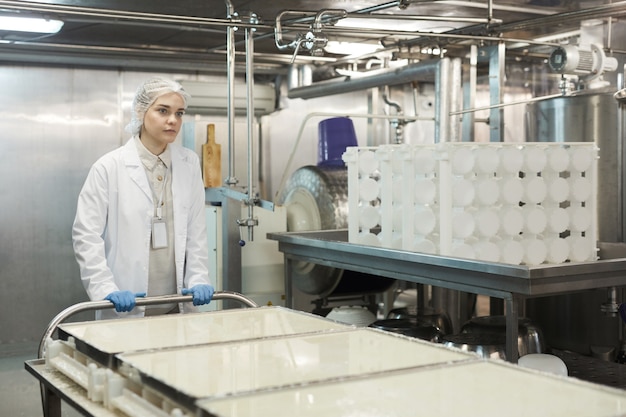 Portret van jonge vrouwelijke werknemer die kar met rauwe kaas duwt in werkplaats in de voedselfabriek, kopieer ruimte