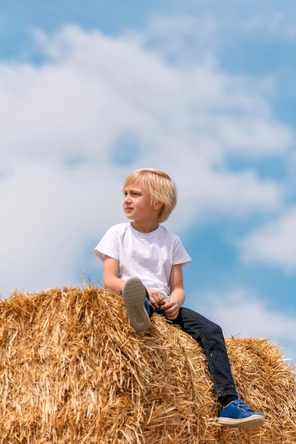 Portret van kleine schattige blonde jongen op hooiberg op blauwe hemelachtergrond Zomervakantie verticaal frame Harvesting