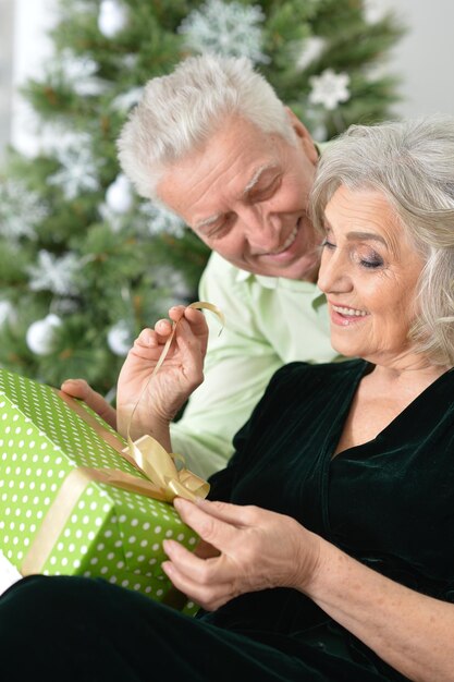 Portret van lachende senioren die Kerstmis thuis vieren