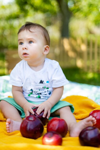 Portret van mooie babyjongen met appels op het gazon Babyjongen die gezond voedsel eet Openluchtpret voor kinderen