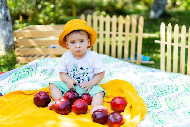 Portret van mooie babyjongen met appels op het gazon Buitenpret voor kinderen Gezonde voeding