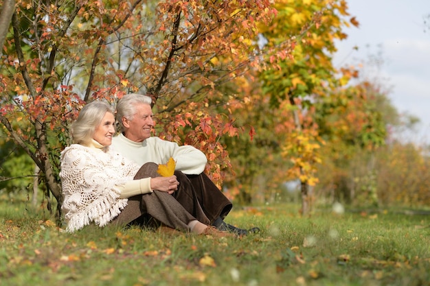 Portret van mooie senior paar ontspannen in het park