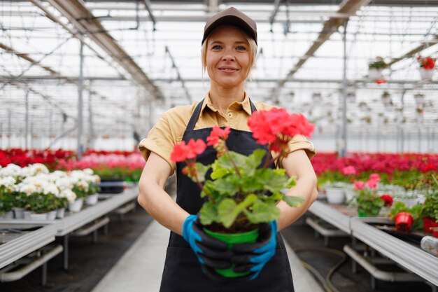 Portret van mooie vrouw bloemist met bloem in pot Sierteelt ondernemer