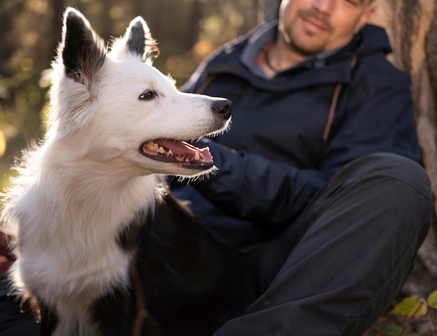 Foto portret van mooie zwart-witte hond