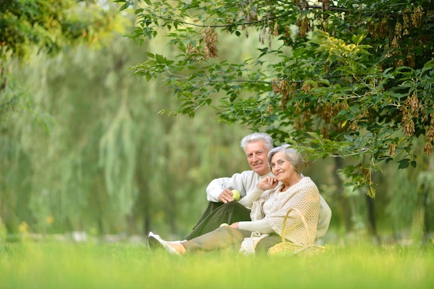 Portret van schattig bejaarde echtpaar in park