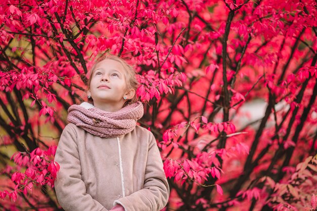 Portret van schattig klein meisje buiten op een mooie herfstdag