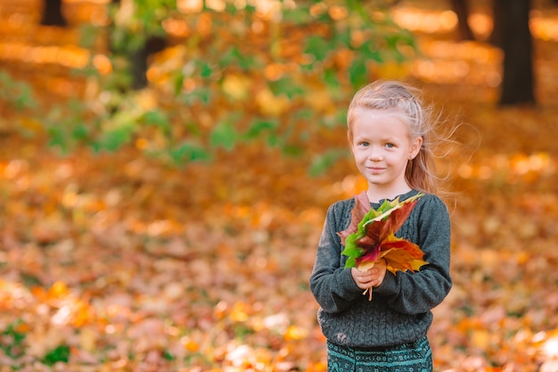 Portret van schattig klein meisje buitenshuis op mooie herfstdag buitenshuis