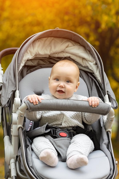 Portret van schattige babymeisje in kinderwagen tijdens wandeling in park