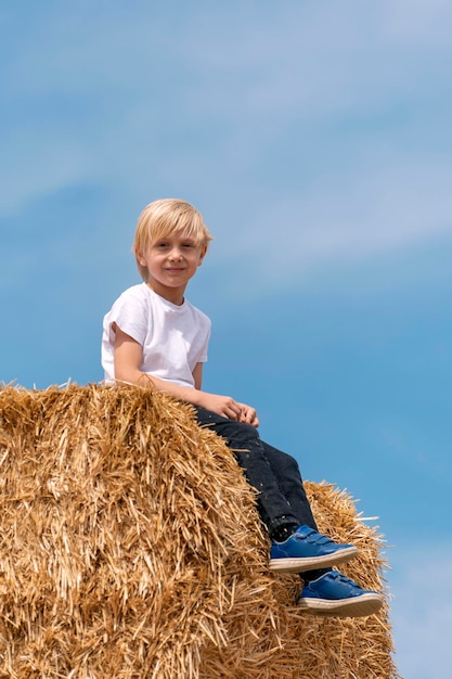 Portret van schattige blonde schooljongen op hooiberg op blauwe hemelachtergrond Ingathering verticaal frame