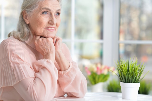 Portret van schattige gelukkige senior vrouw die zich thuis voordeed