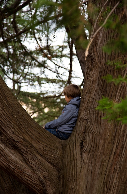 Portret van schattige jongen jongen zittend op de grote oude boom op zonnige dag. Kind dat een boom beklimt. kleine jongen zittend op een boomtak. Buitenshuis. Zonnige dag. Actieve jongen spelen in de tuin. Lifestyle-concept