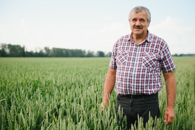 Portret van senior boer agronoom in een tarweveld