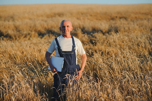 Portret van senior boer agronoom in tarweveld