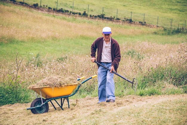 Portret van senior man die hooi harkt met hooivork en kruiwagen op een veld