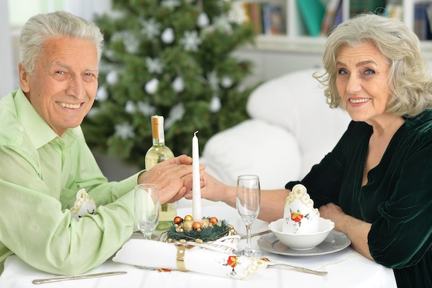 Portret van senioren hebben een kerstdiner