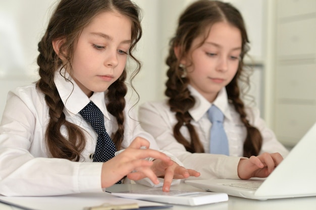 Portret van twee mooie kleine meisjes die huiswerk maken