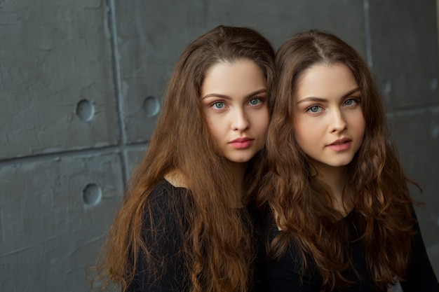 portret van twee mooie vrouwelijke tweelingzusjes met make-up