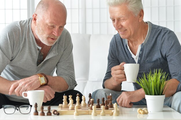 Portret van twee oude vrienden die samen plezier hebben