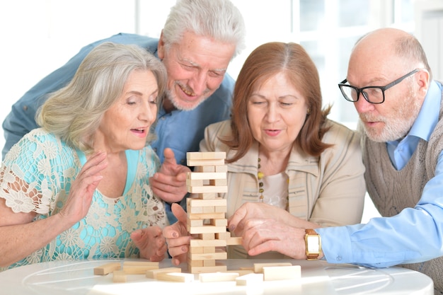 Portret van twee senior koppels die samen plezier hebben