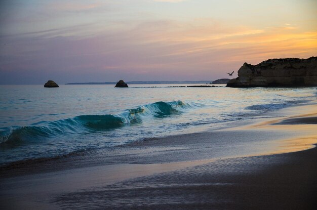 Portugal algarve the best beaches of portimao praia da rocha sunset over the atlantic ocean