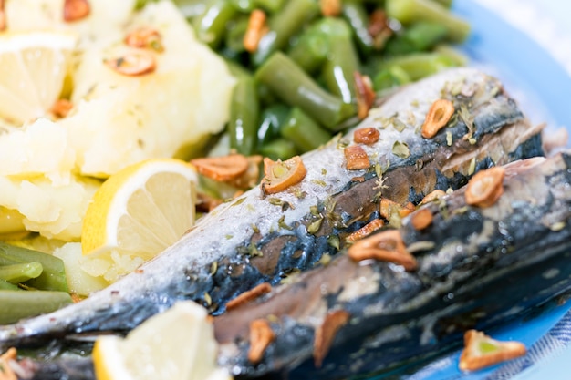 Portuguese mackerel fish meal