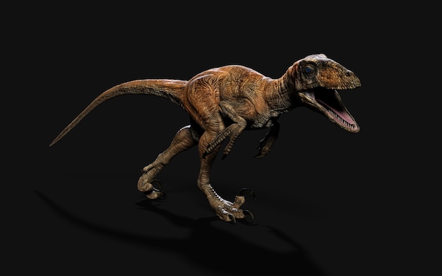 deinonychus antirrhopus의 가장 상징적이고 대표적인 공룡의 자세