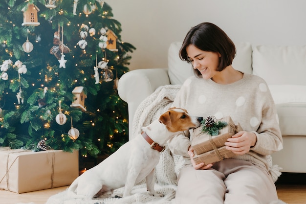 La donna castana positiva tiene il contenitore di regalo, passa il tempo libero insieme al cane di razza, posa in salone sul pavimento con il bello albero di natale decorato.