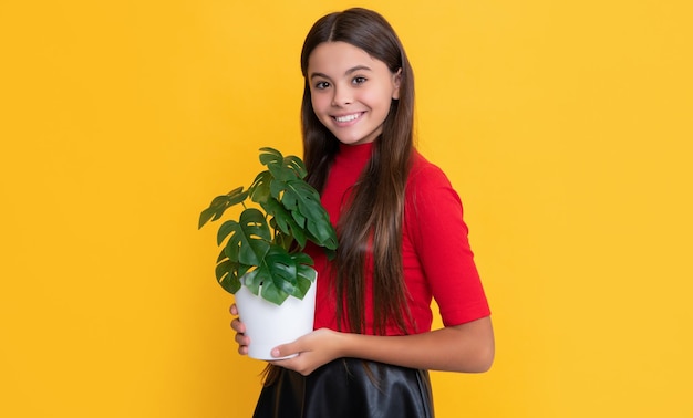 Positive child with monstera in pot on yellow background