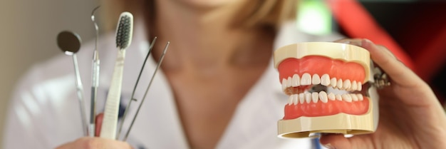 Positive dentist holds teeth care tools and human jaws model in clinic office doctor presents