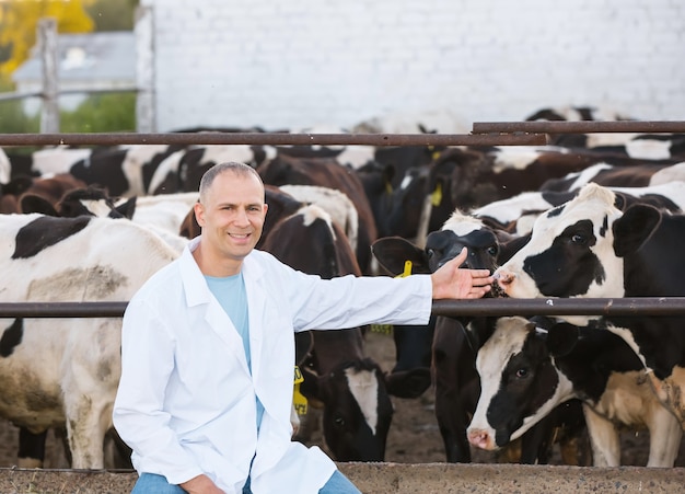 Positive man on the farm cows