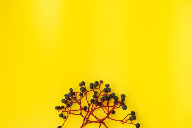 A postcard against a yellow background of a bunch of wild blue grapes on twigs. Texture, autumn theme. Place for text